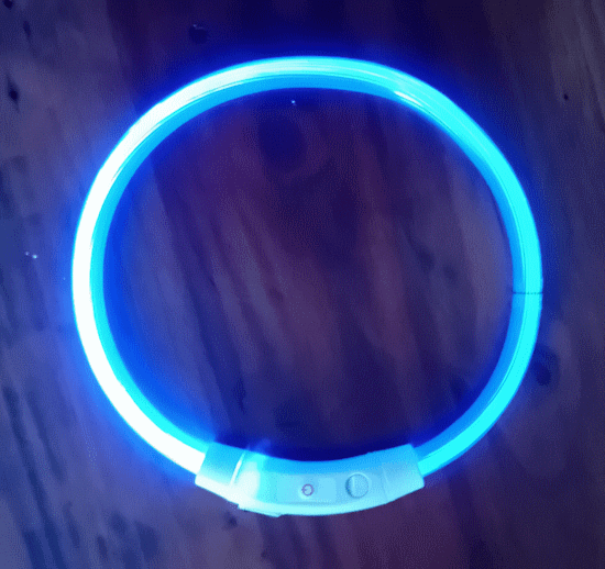 LED Collar